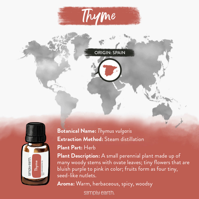 Thyme (Red) Essential Oil